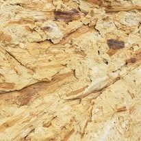 Close-up of weathered, textured cork bark in shades of tan and brown.