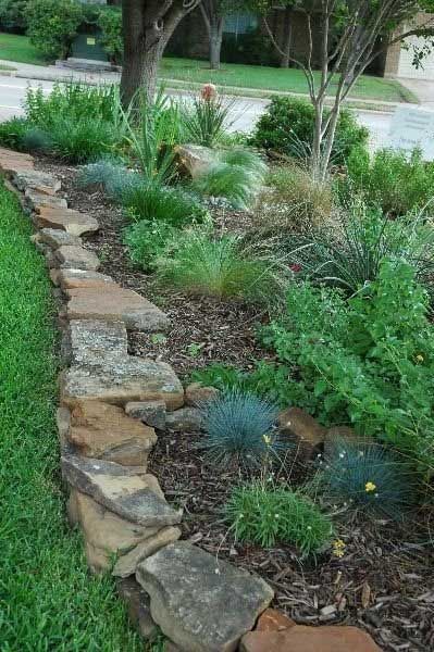 Stone-edged garden bed with various green plants and blue-green accent plants. Brown mulch and a tree in the background.