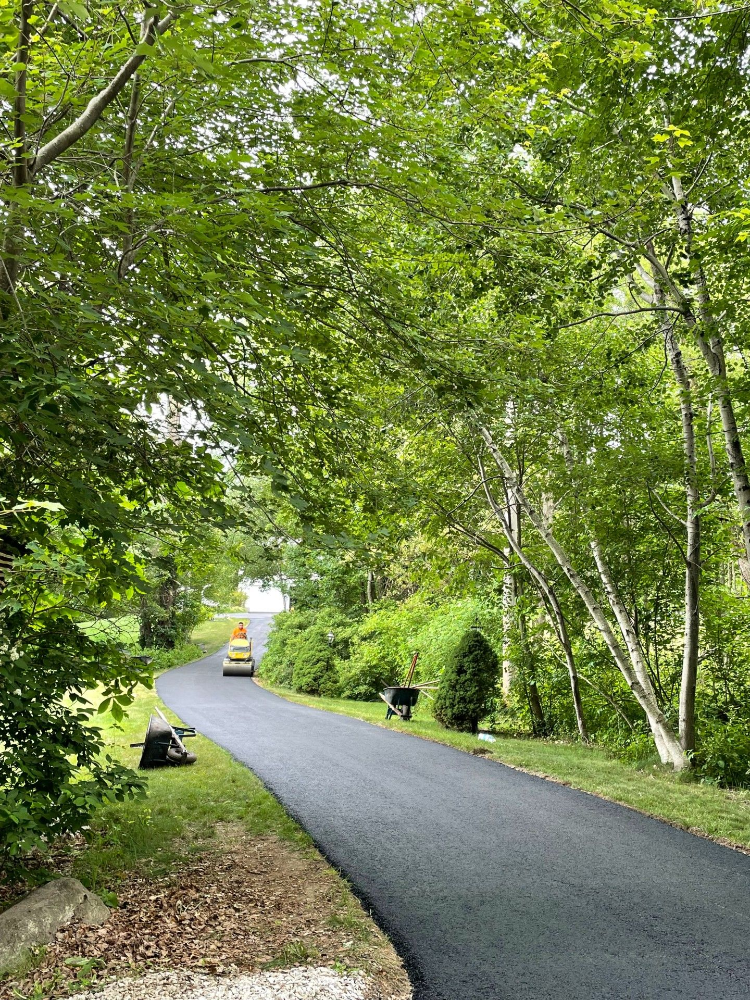 A car is driving down a road surrounded by trees.