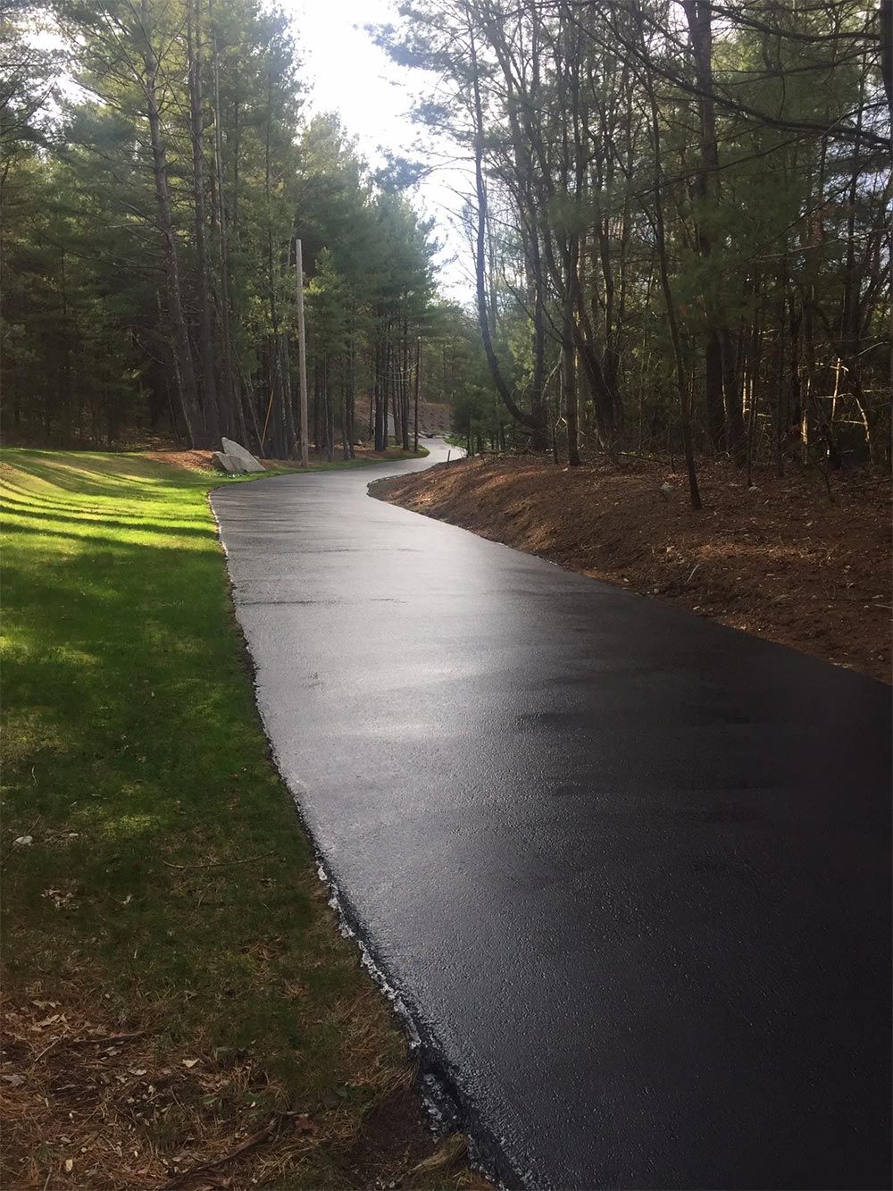 A black asphalt driveway going through a forest.