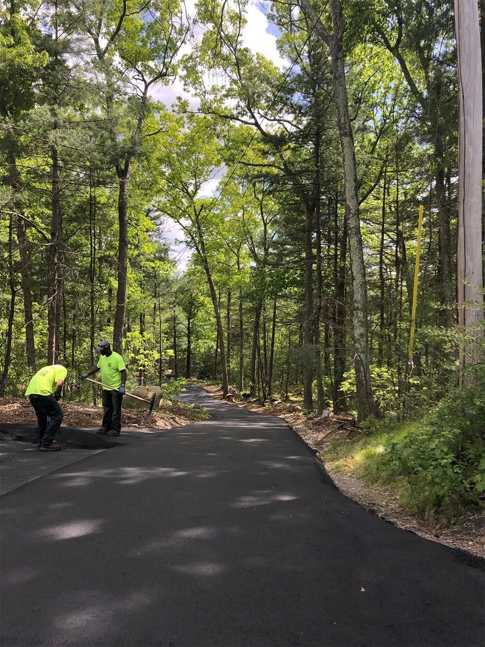 Two men are working on a road in the woods.