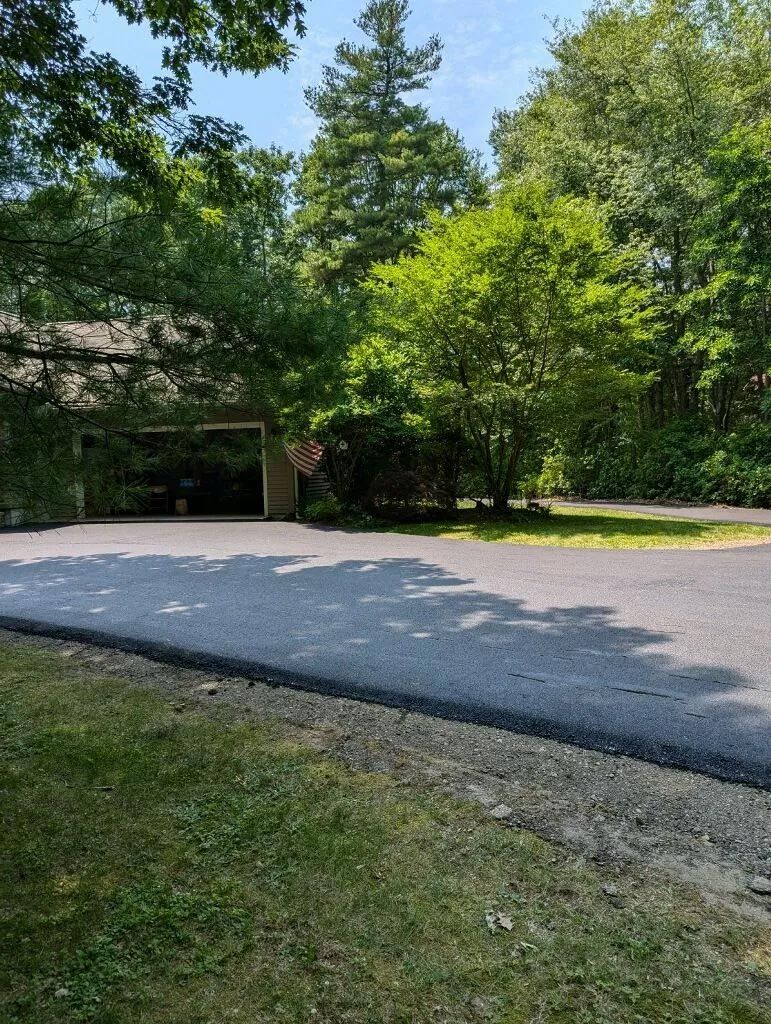 A driveway leading to a house surrounded by trees on a sunny day.