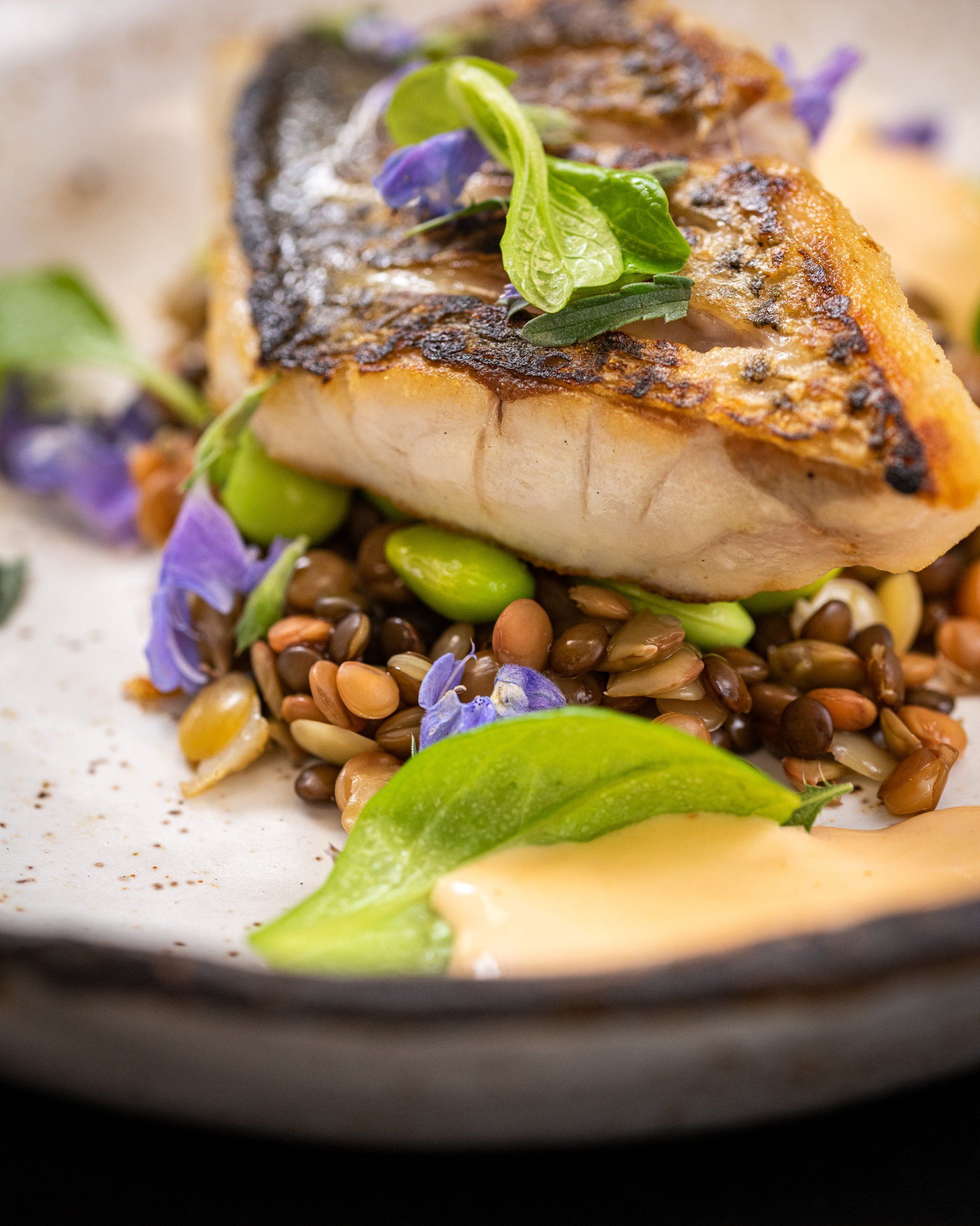 david-verdo-personal-chef-and-catering-gallery-07