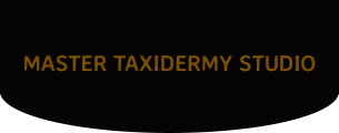 Master Taxidermy Studio Inc - Logo