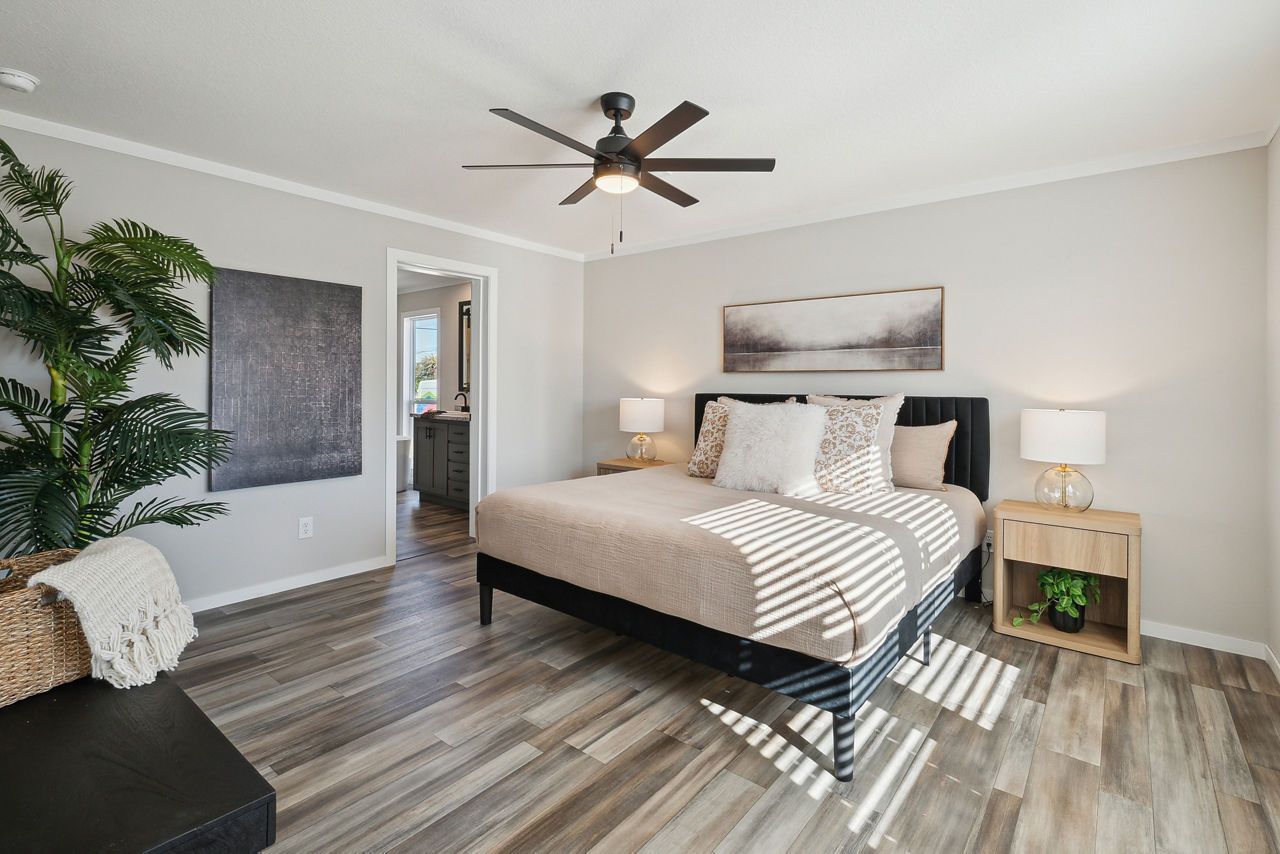 Bedroom with gray walls, wooden floor, bed, lamps, and a large plant.