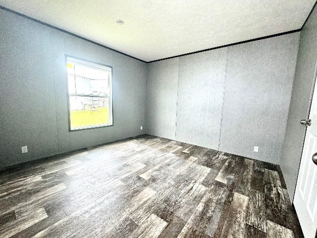 Empty bedroom with gray walls, wood-look flooring, a window, and a white door.