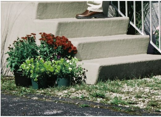 A person sitting on a set of stairs with flowers in front of them