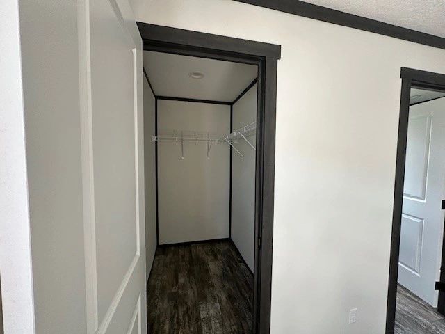 There is a closet in the middle of the room.