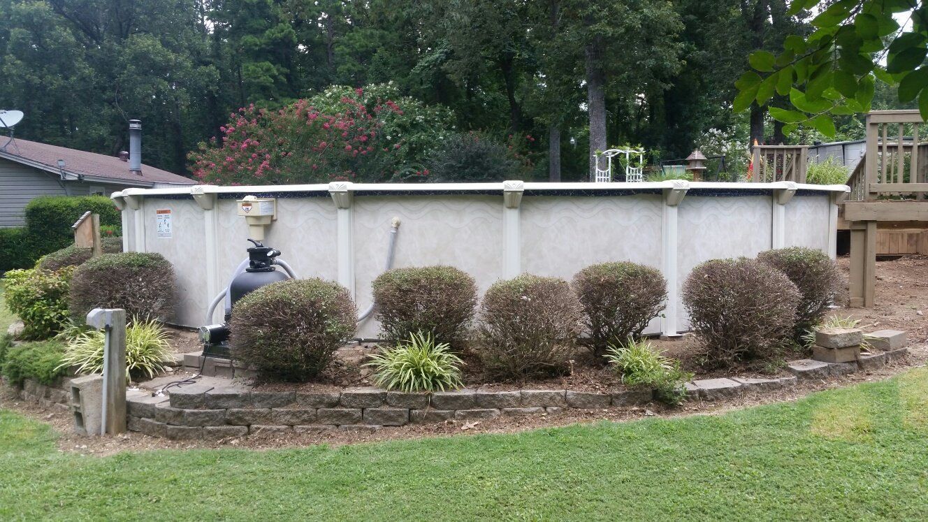 A swimming pool is surrounded by bushes and trees in a backyard.