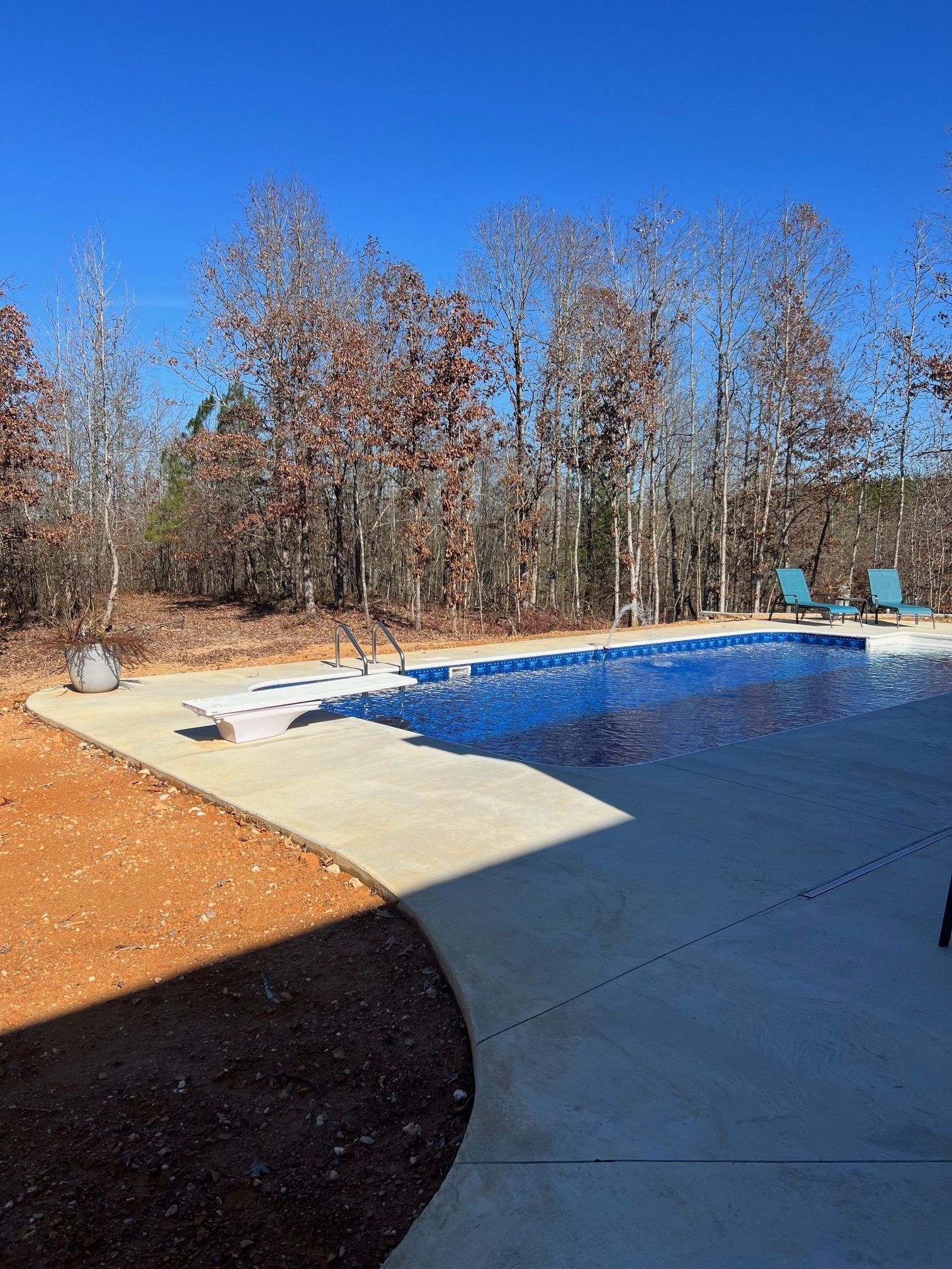 A large swimming pool is surrounded by trees on a sunny day.