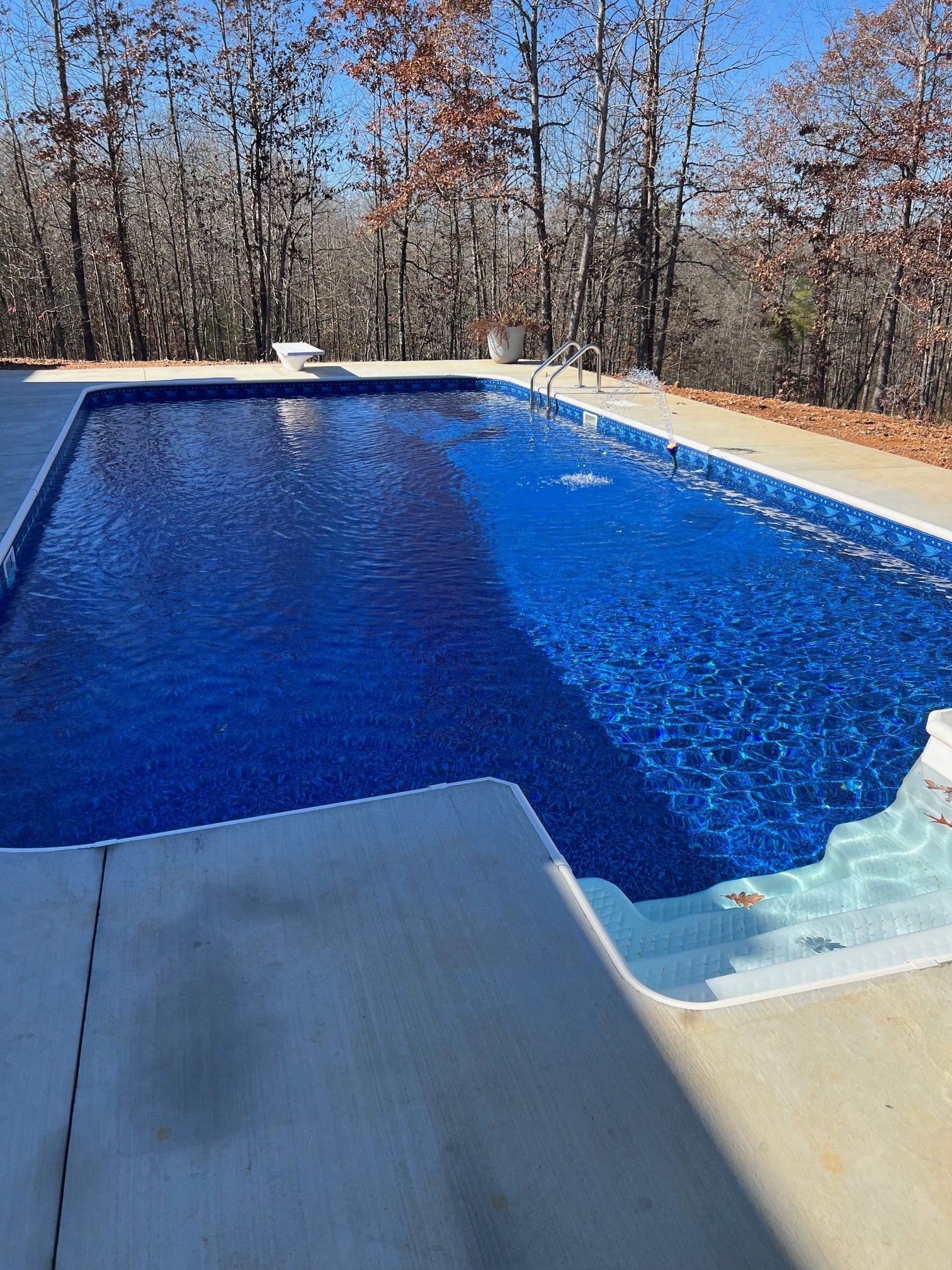 A large blue swimming pool is surrounded by trees on a sunny day.