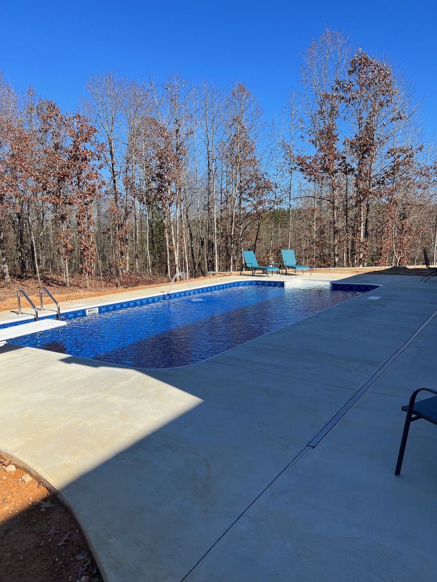 A large swimming pool is surrounded by trees on a sunny day.