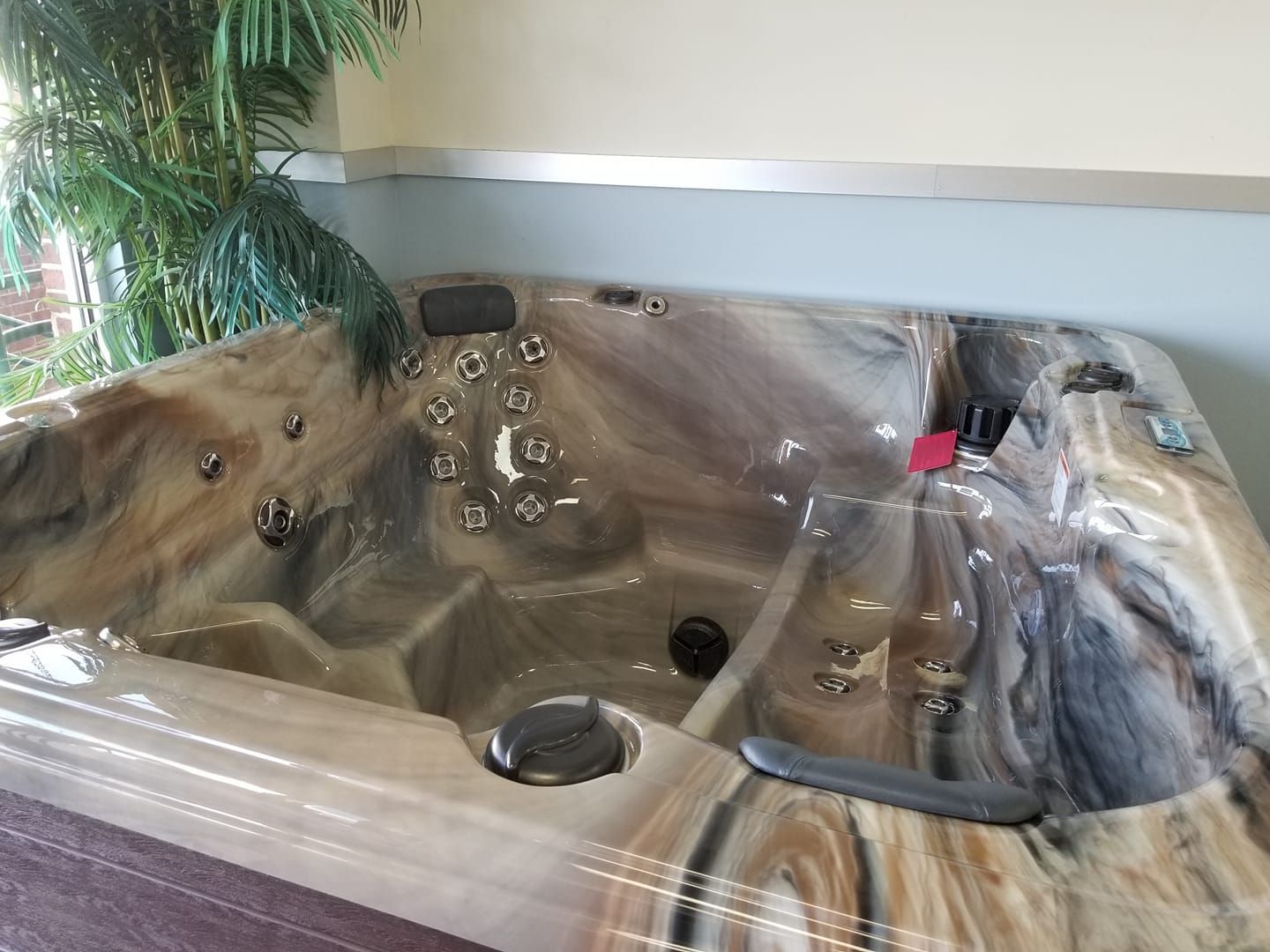 A hot tub is sitting in a room next to a plant.