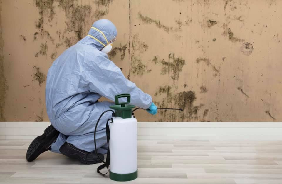 Worker in protective suit spraying disinfectant indoors with backpack sprayer.