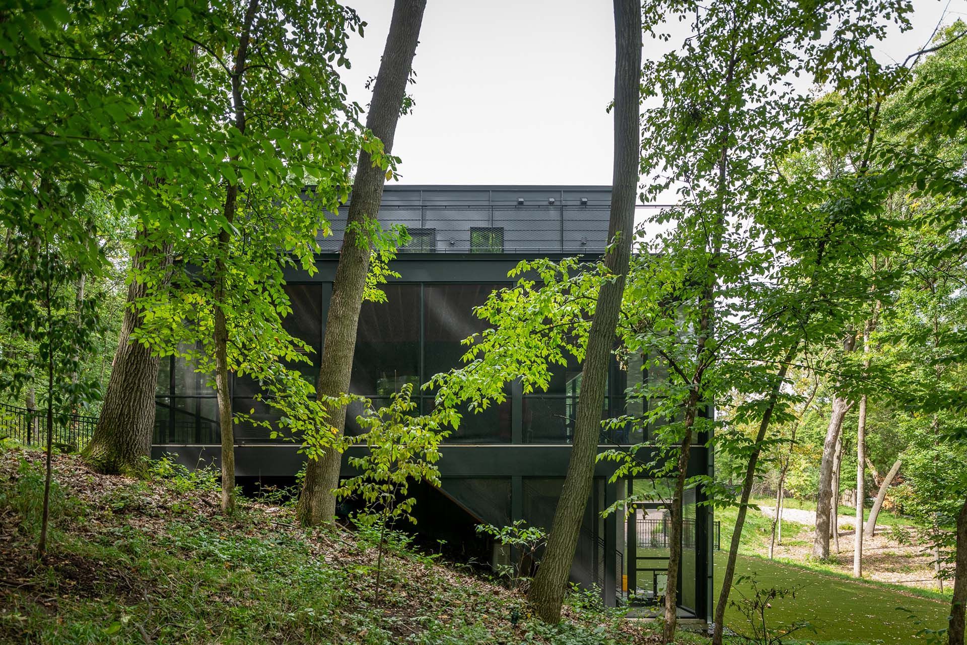 A black house is surrounded by trees in the middle of a forest.