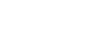 Action Florist & Gift House - logo