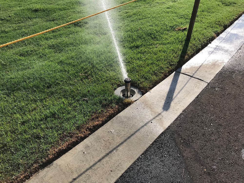 Sprinkler spraying water onto green grass next to a concrete curb and asphalt pavement.