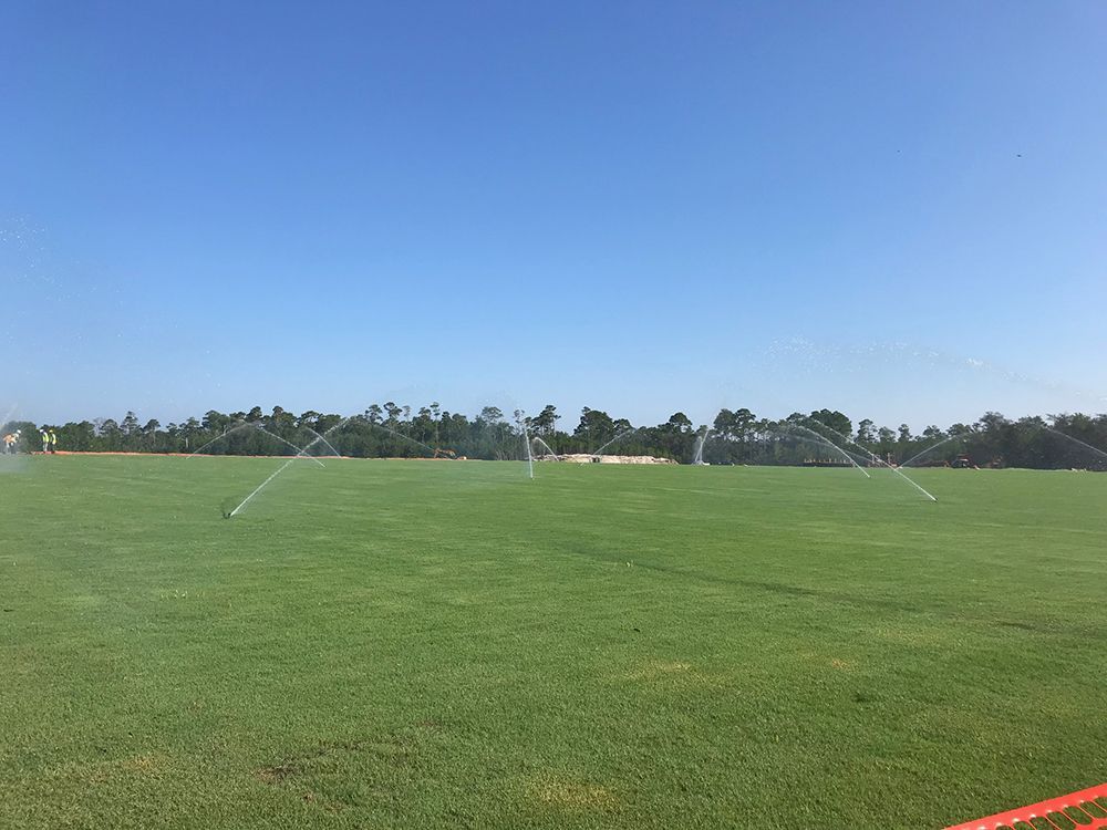 Sprinklers watering a green field under a clear blue sky.