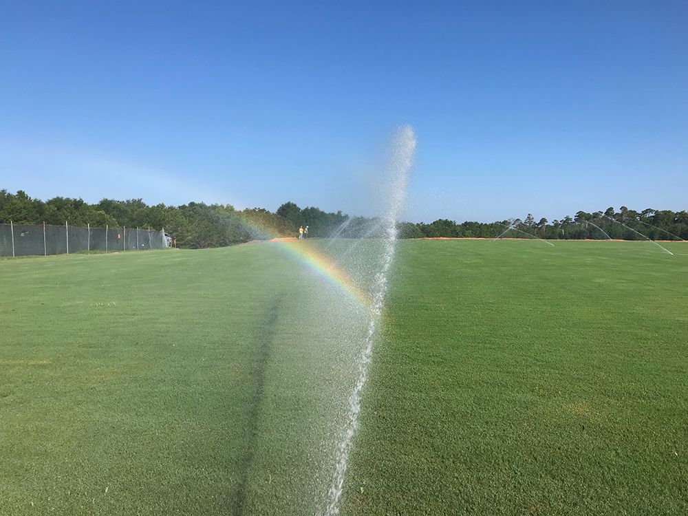 Sprinkler spraying water onto a green field, creating a rainbow under a clear blue sky.