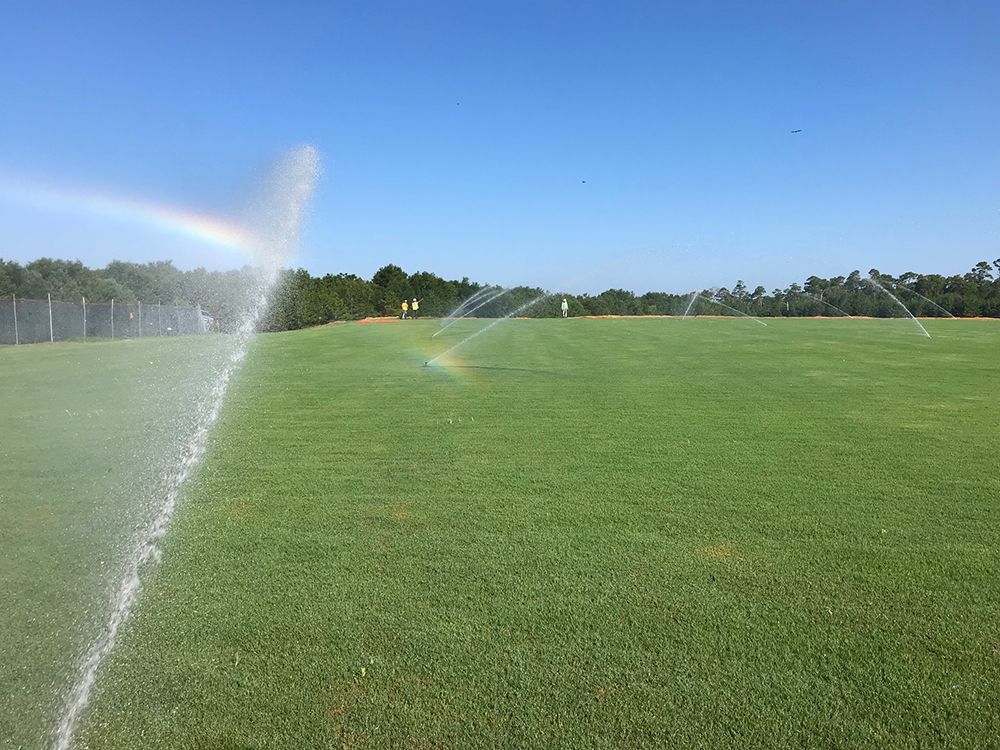 Sprinklers watering a green field, creating a rainbow against a blue sky.