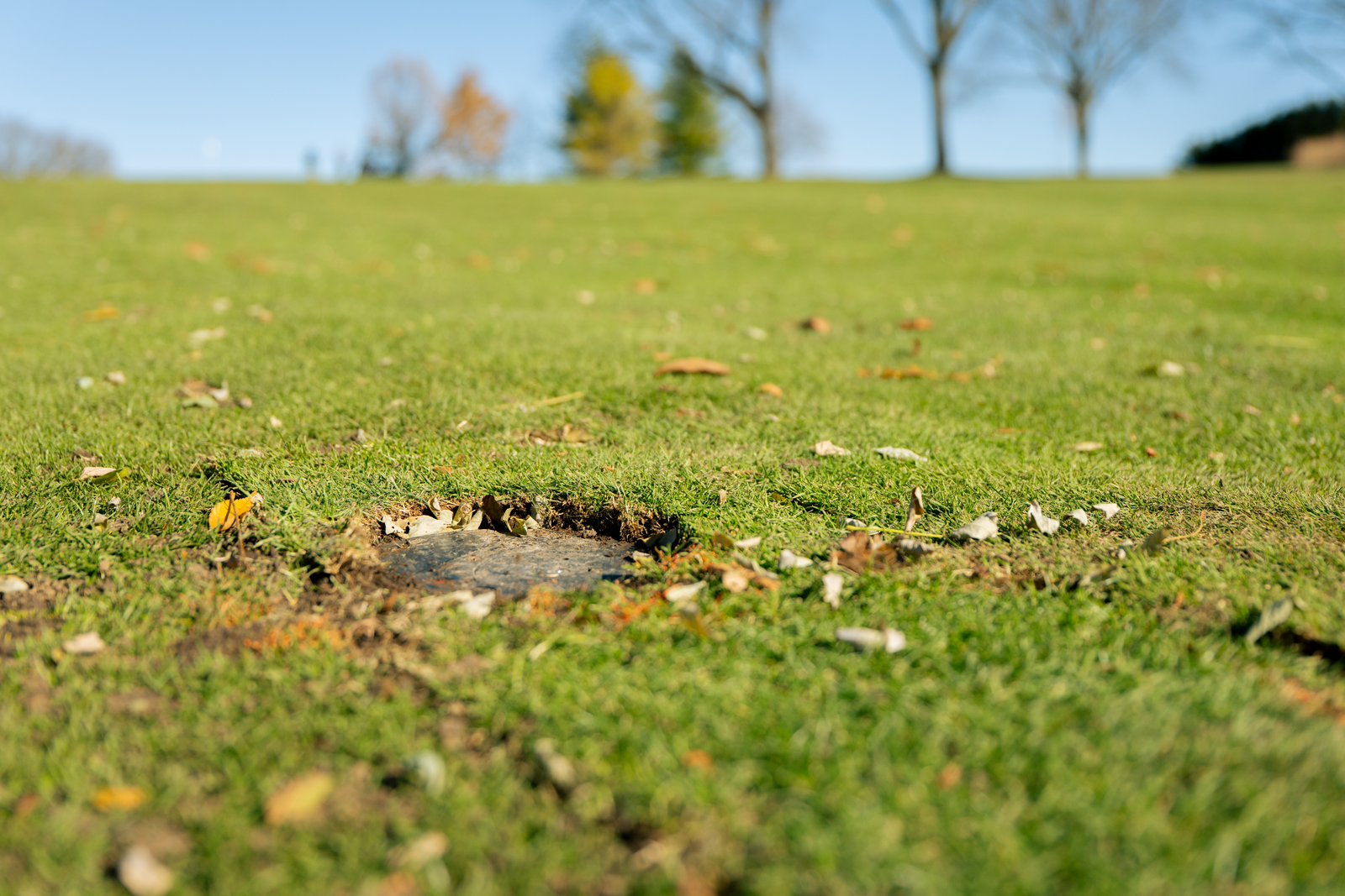 Hole in green grass lawn; trees in the blurred background.
