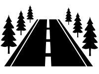 Black road with dashed centerline and pine trees on both sides