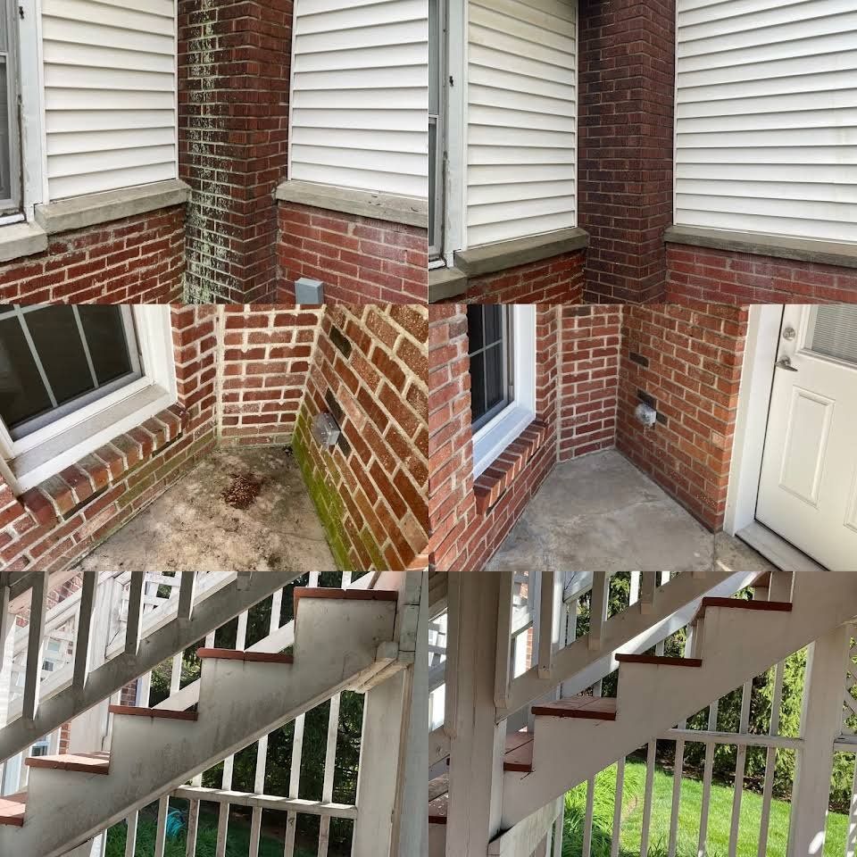 Before and after pressure washing service