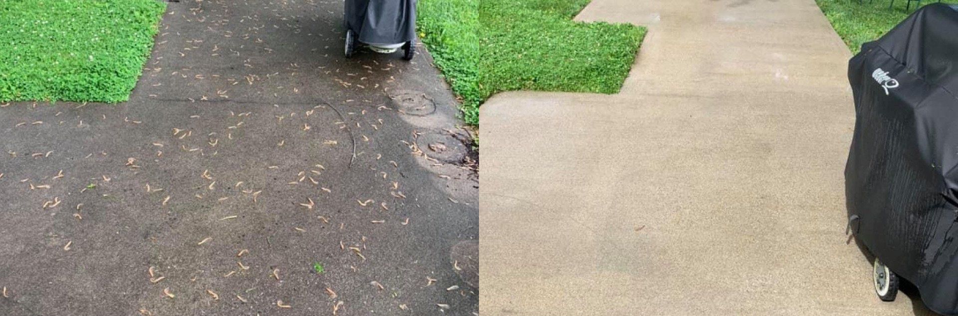 Concrete Walkway Cleaning