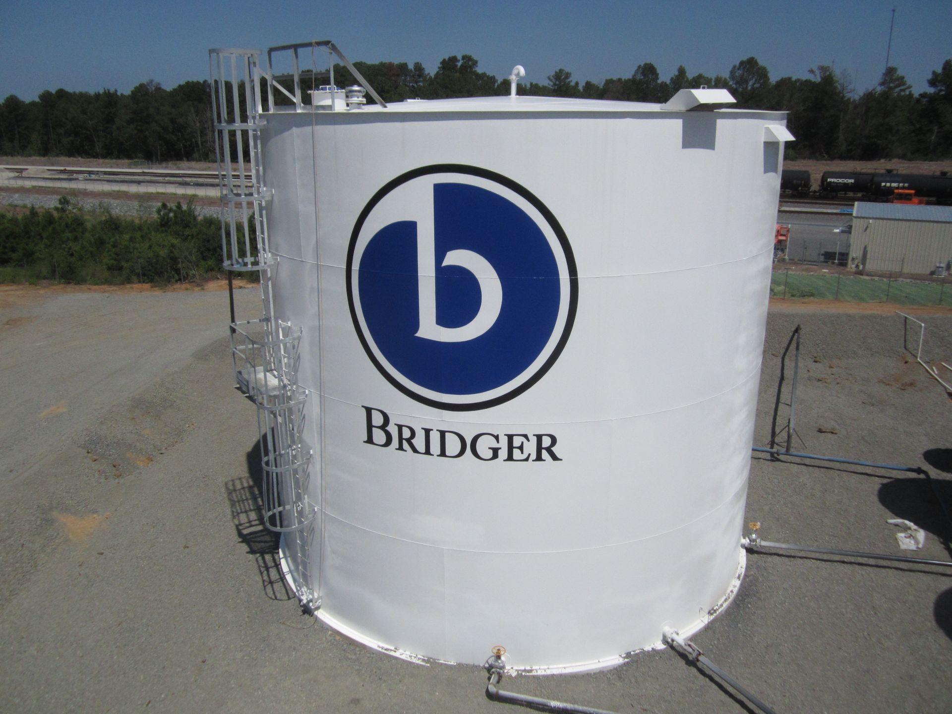 Large Painted Logo