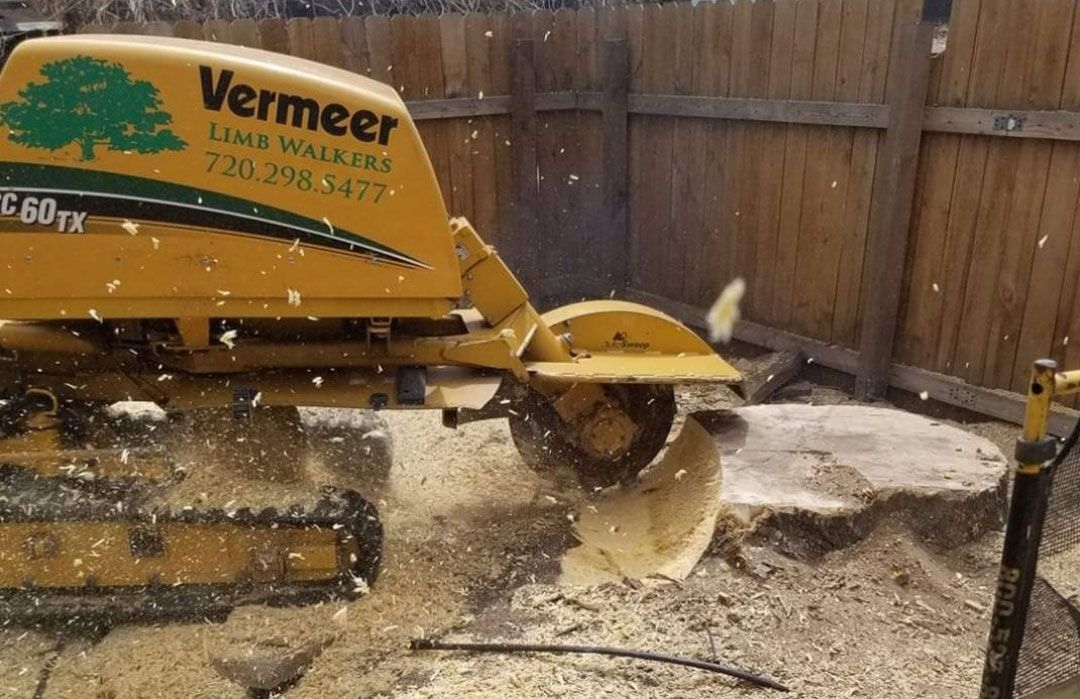 A yellow stump grinder is cutting a tree stump in a backyard.