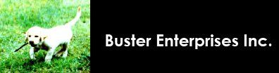 Buster Enterprises Inc. - Logo