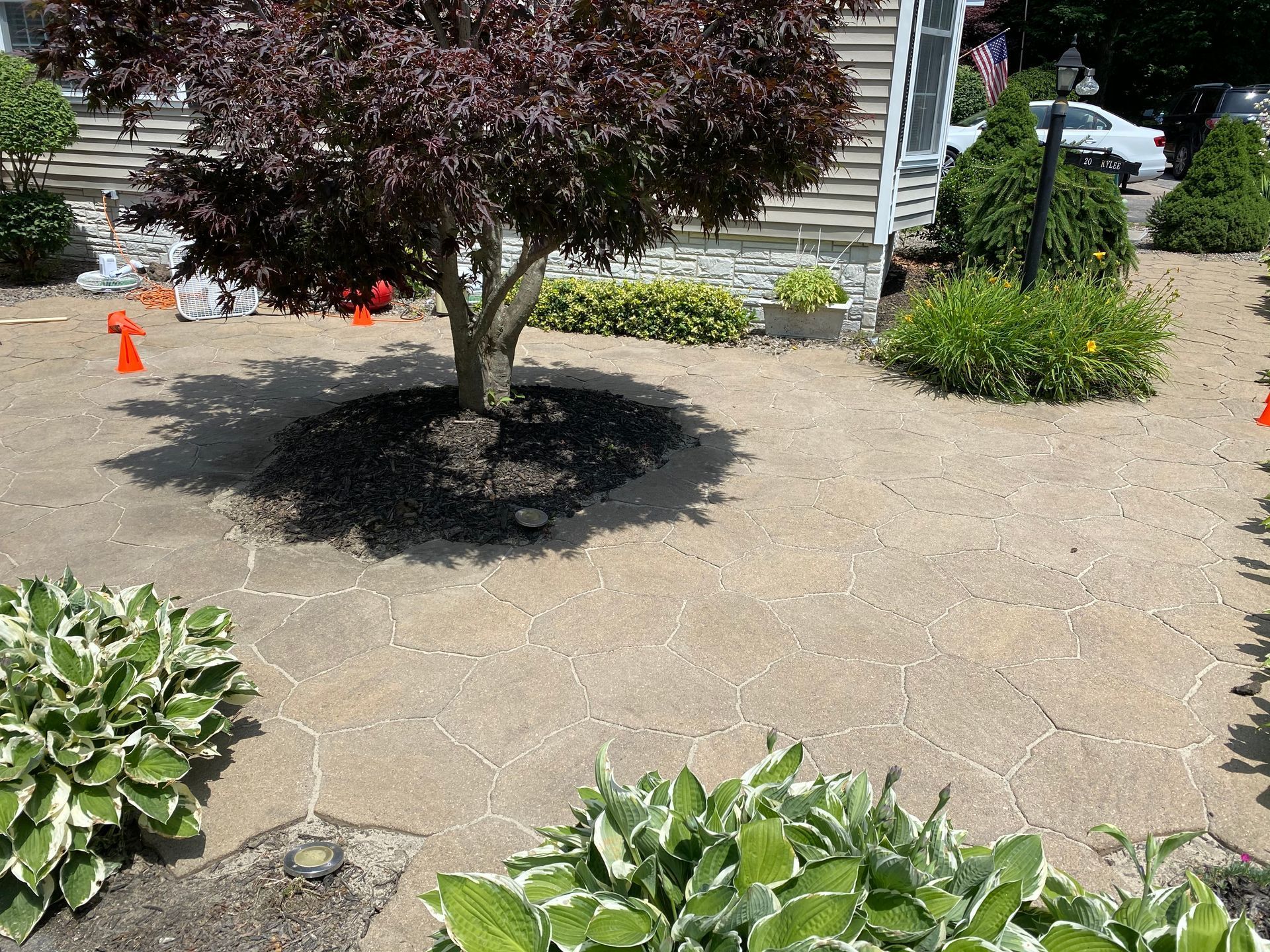 a tree is sitting in the middle of a garden in front of a house.