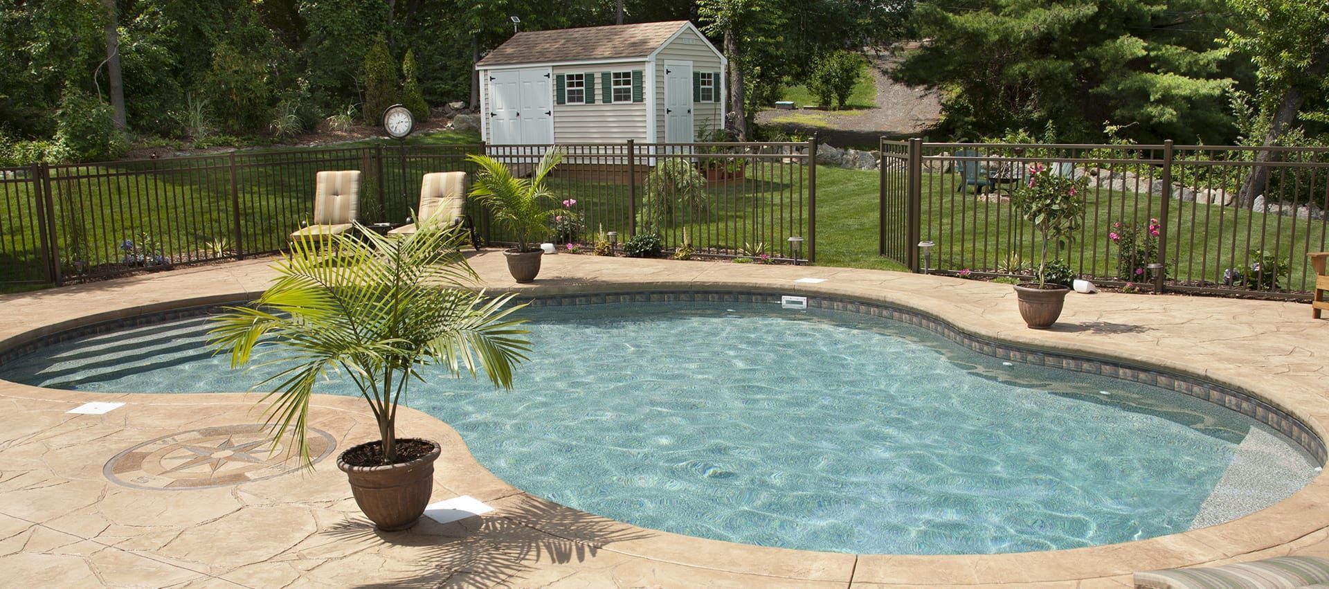 Backyard pool with curved stone deck, potted palm, and small shed in the background