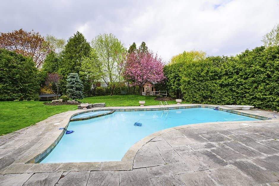 Backyard swimming pool with light blue water, stone patio, and lush green trees and shrubs