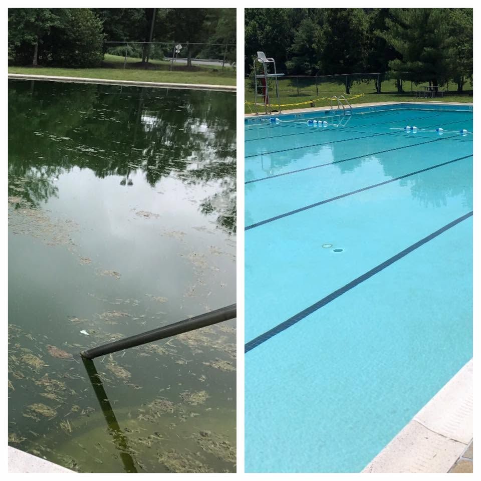 Side-by-side pool comparison: murky green water on the left, clean blue water on the right.