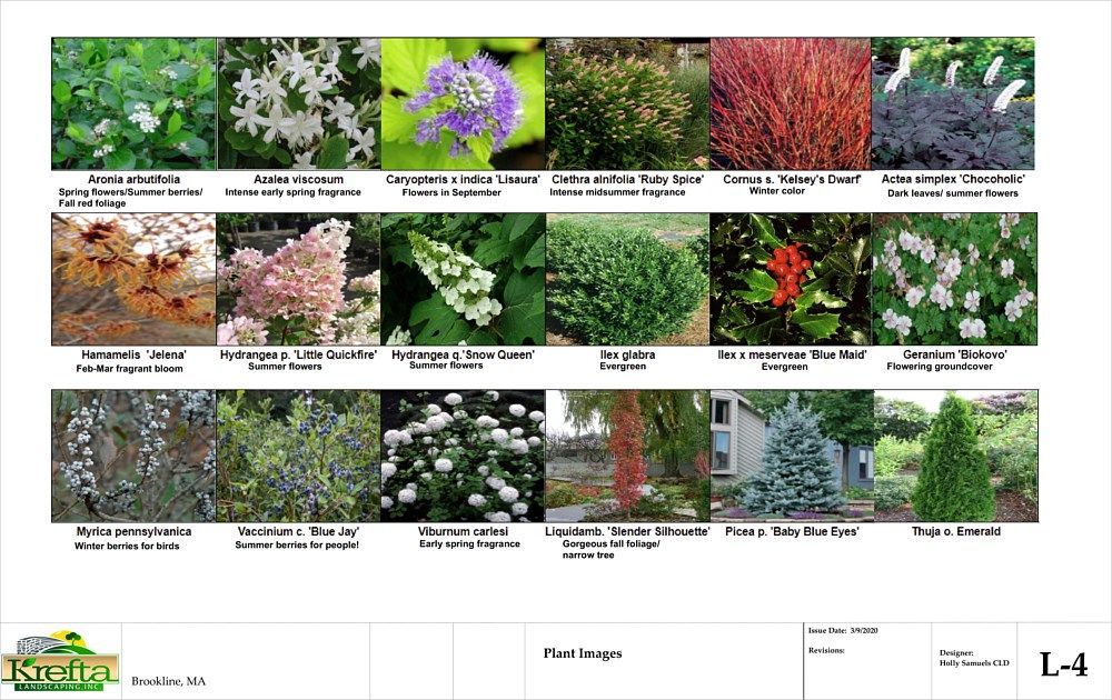 A grid of 18 plant images labeled with their common and scientific names on a landscaping project document titled L-4.