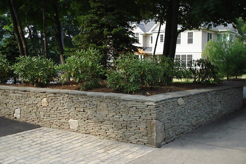 A low, dry-stacked stone retaining wall with shrubs planted on top, bordering a driveway and a house in the background.