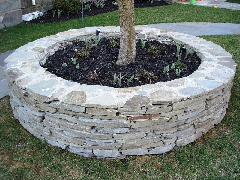 A circular stone planter surrounds the base of a tree in a residential yard, filled with dark mulch and small plants.