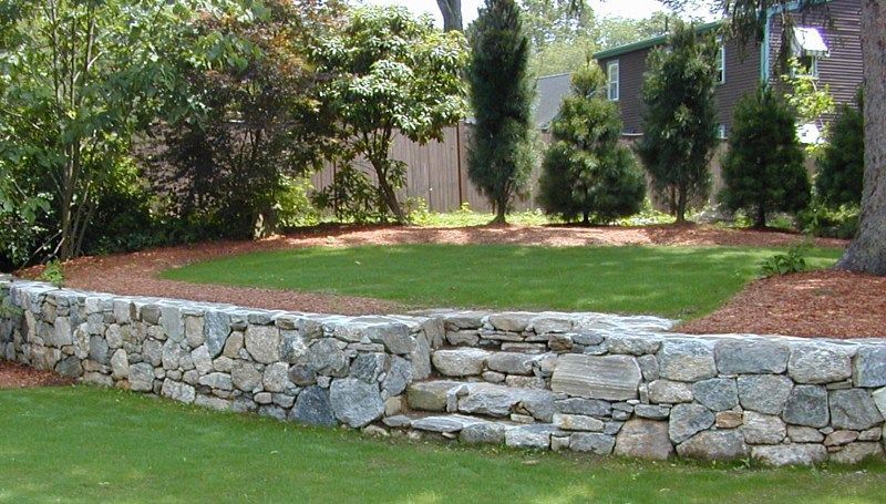 A curved stone retaining wall with integrated steps leading to a raised grassy lawn, landscaped with mulch and evergreen trees.