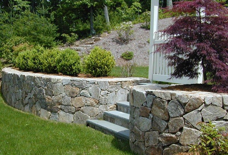 A curved stone retaining wall with stone steps leading up a grassy hill, next to a white fence and a purple-leafed tree.