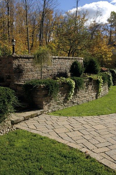 A stone retaining wall with trailing greenery and shrubs, set against a backdrop of autumn trees and a paved stone walkway.