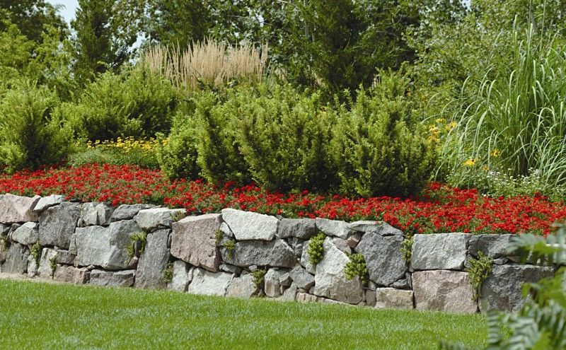 A stone retaining wall sits in front of a garden bed with red flowers, green shrubs, and tall ornamental grasses.