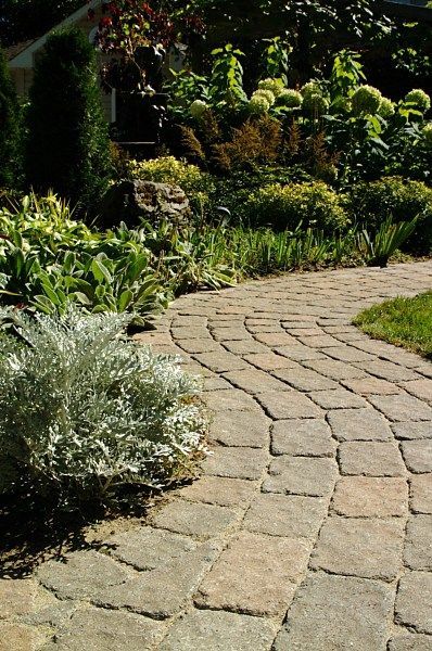 A curved stone paver walkway winds through a lush, sunlit garden with green shrubs and flowering plants.