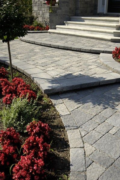 A stone walkway leads to a set of stairs at the entrance of a building, framed by vibrant red flowers and a small tree.