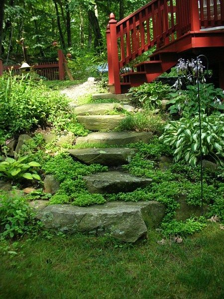 Stone steps lead up a lush, green embankment toward the base of a red wooden deck in a wooded yard.