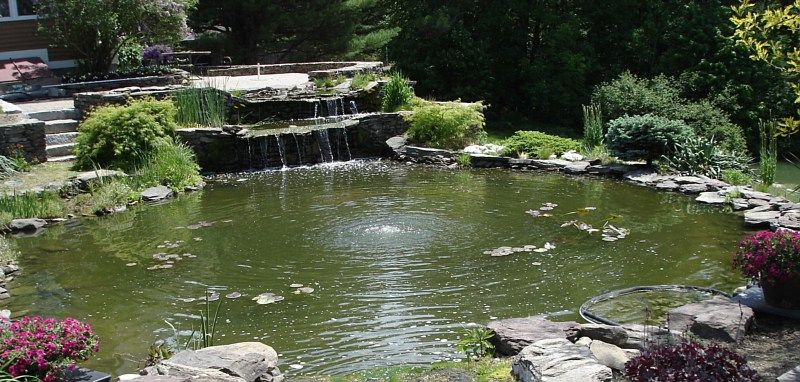 A garden pond with a small waterfall, surrounded by green landscaping, rocks, and colorful flowering bushes.