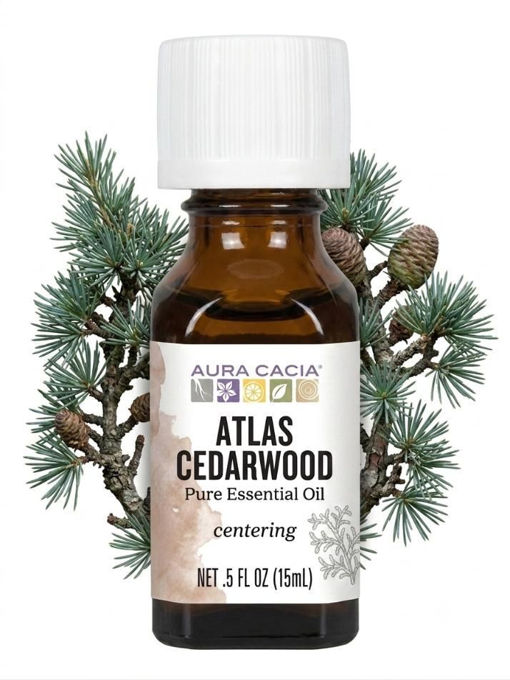 Aura Cacia Atlas Cedarwood bottle with atlas cedarwood branch behind bottle