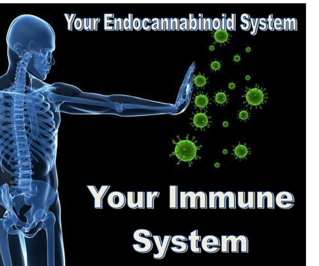 X-ray of a human figure reaching out to block green virus particles; text reads 
