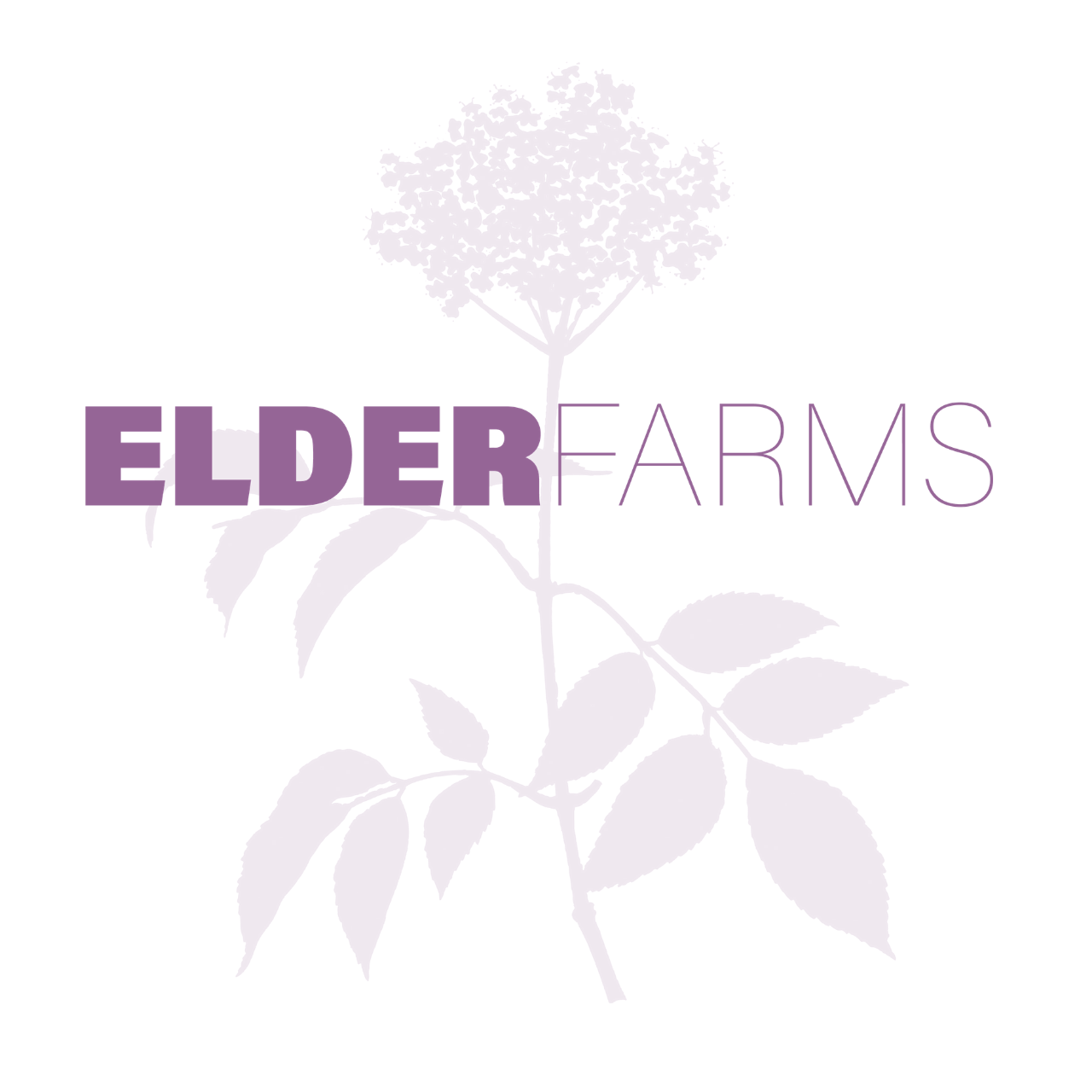 Elder Farms logo: lavender text and flower illustration on white background.