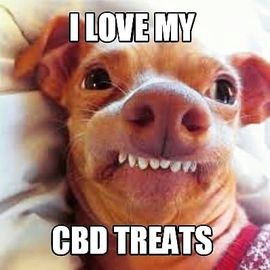 CBD pet products Rustic Oils